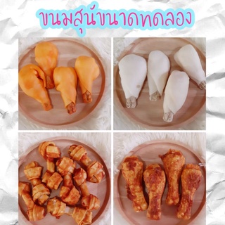 ขนมสุนัข  ขนาดทดลองมีหลากหลายชนิด