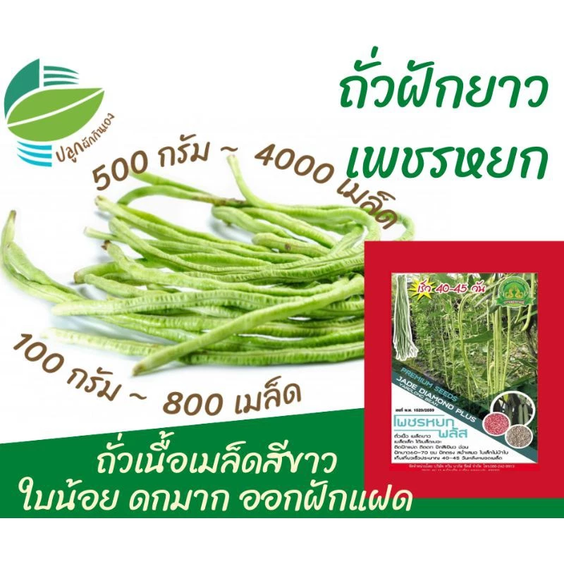 ถั่วฝักยาว เพชรหยก เมล็ดขาว