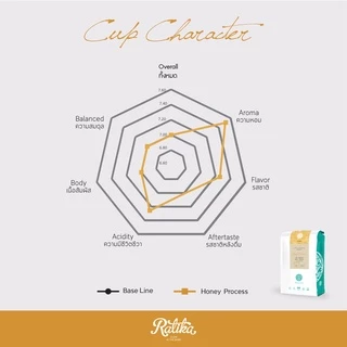 Ratika | เมล็ดกาแฟคั่ว อราบิก้า ฮันนี่โพรเซส 100% ตรา ฮิลล์คอฟฟ์ (Medium Roast) : THAI ARABICA Honey Process