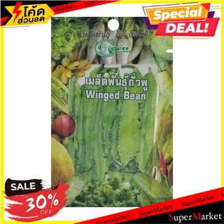 เมล็ดพันธุ์ถั่วพู กรีน การ์เด้น เมล็ดพันธุ์ WINGED BEAN SEED GREEN GARDEN ต้นไม้และเมล็ดพันธุ์