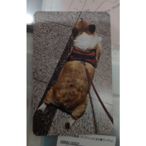 Exo Baekhyun Teolaegi Monrryong Photocard pc อย่างเป็นทางการ