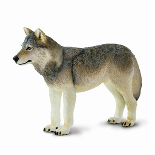 Safari Ltd. : SFR100509  โมเดลสัตว์ SAFARI Gray Wolf