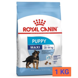 Royal Canin Maxi Puppy อาหารสำหรับลูกสุนัขขนาดใหญ่ น้ำหนักโตเต็มวัย 26 - 44 กิโลกรัม  ขนาด 1 KG.