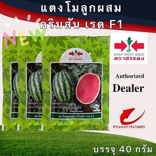 เมล็ดพันธุ์ แตงโมคริมสันเรด 40g