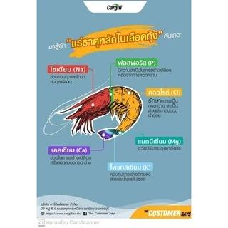 แร่ธาตุรวม​ (แบบเกล็ดส้ม)แร่ธาตุสำหรับสัตว์น้ำ​ หัวแร่ธาตุ​เข้มข้น​ แร่ธาตุรวมเข้มข้น จัดส่งรวดเร็ว