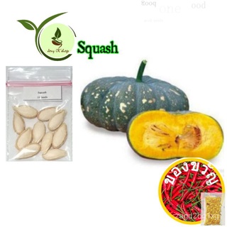 Squash kalabasa 10เมล็ดดอกทานตะวัน/ผักกาดหอม/หมวก/กระโปรง/สวน/ดอกไม้/สร้อยข้อมือ/เด็ก/เมล็ด/กางเกง/ HYCL