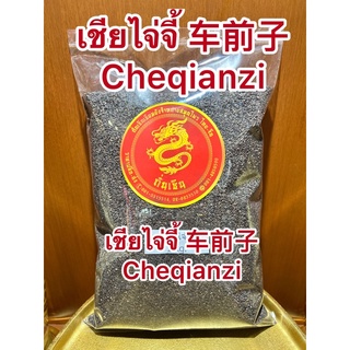 เชียไจ่จี้ 车前子 Cheqianzi เชียโจ้ยจี้ เชียไจ๋จี๋