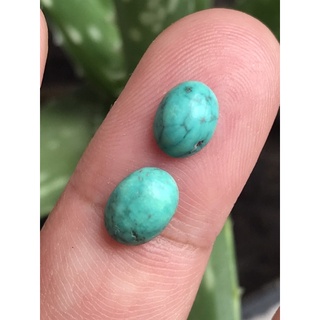 Turquoise เทอร์คอยส์ ดิบ สีเขียวน้ำทะเล 2.65 ct/2 pcs