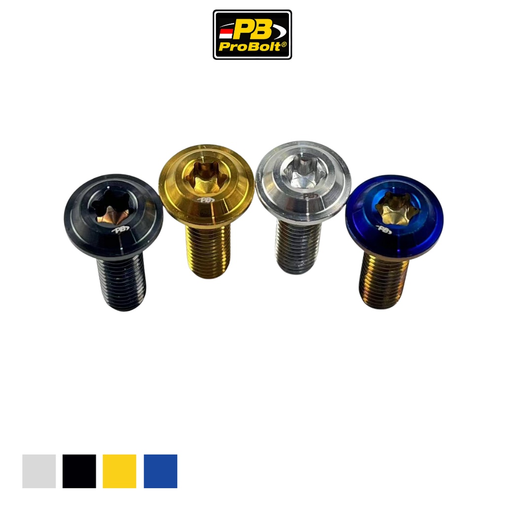 PROBOLT PB ORIGINAL STAINLESS STEEL ANTI-RUST DISC BOLT M8