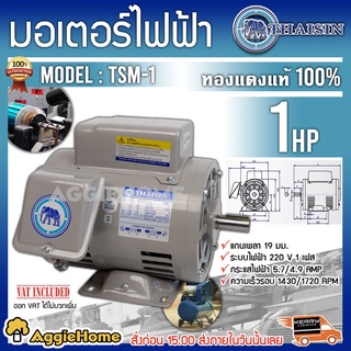 THAISIN มอเตอร์ไฟฟ้า รุ่น TSM-1 1HP 2สาย 220V. มีคอนเดนเซอร์ ใช้งานทนทาน สินค้ามีมาตรฐาน มอเตอร์