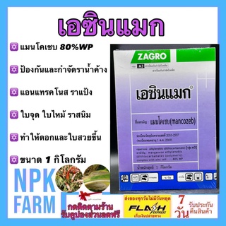 เอซินแมก ขนาด 1 กิโลกรัม แมนโคเซบ 80%WP ยากำจัดเชื้อรา โรคใบจุด ใบไหม้ ราน้ำค้าง ราสนิม โรคเน่าคอดิน ทำให้ดอกและใบสวย