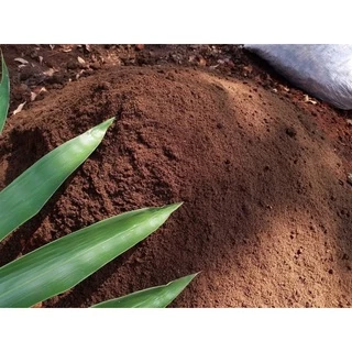 ดินผสมพร้อมปลูก ดินภูเขาไฟศรีสะเกษ ขนาด 10kg | NT FARM