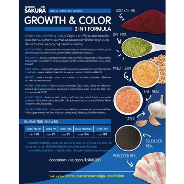 Free‼️125กรัม อาหารปลาคาร์ฟ SAKURA KOI Growth&Color 1.25 kg. (สูตร 2in1 เร่งโต+เร่งสี) ราคา ถูกที่สุด ดีลบีเคเค แกลเลอรีภาพที่ 3