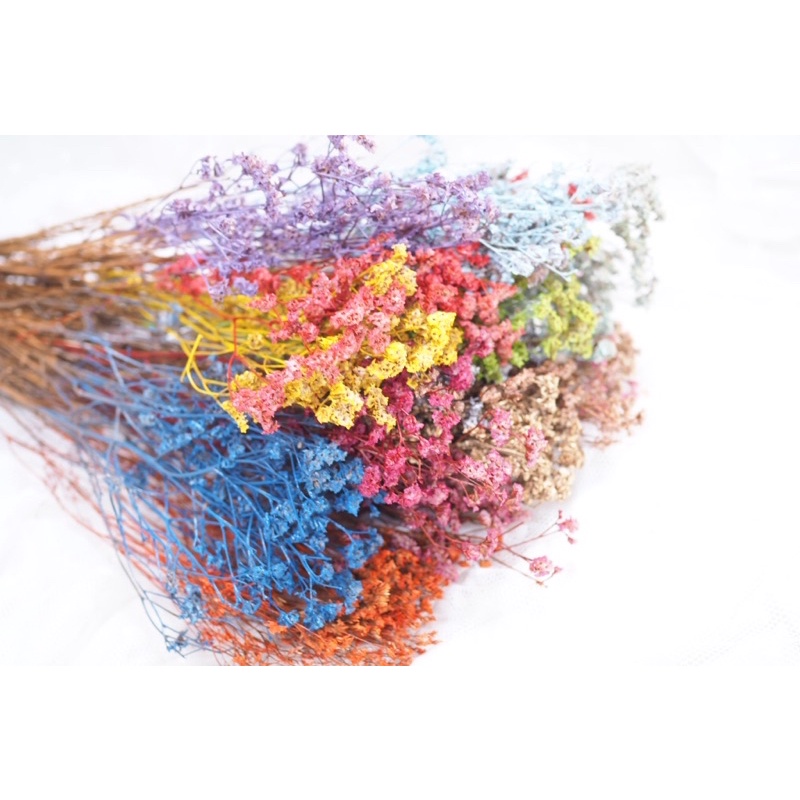 ดอกไม้แห้ง ดอกดอกไม้diy สุ่ย ดอกสุ่ย 15 ก้านซองละ 25 บาท มีให้เลือกหลายสีเลยจ้า