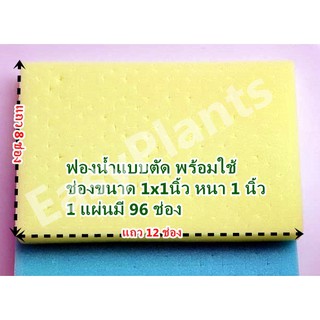 ฟองปลูกผักไฮโดร แบบตัด  ขนาด 1x1x1 นิ้ว ชุด 10 แผ่น