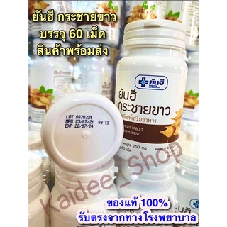 ราคาส่ง ‼️‼️ กระชายขาวยันฮี ยกลัง 120 กระปุก (สินค้าพร้อมส่ง)