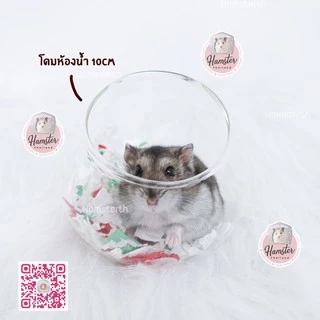 [Hamsterth] โดมใส ห้องน้ำ ห้องนำ้แก้ว สำหรับสัตว์เลี้ยง แฮมสเตอร์ แฟตเทล ดอเม้าท์