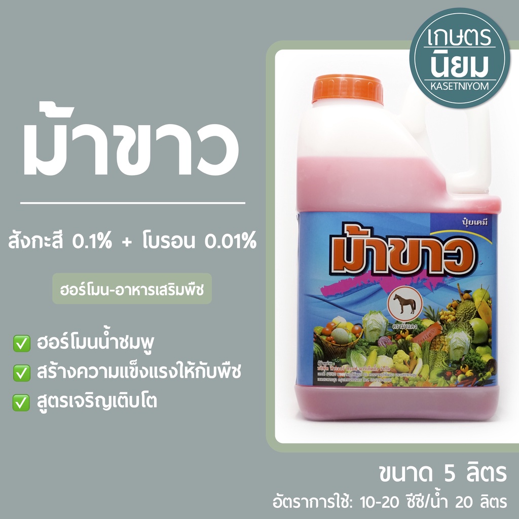 ม้าขาว (สังกะสี 0.1% + โบรอน 0.01%) *แกลลอน 5 ลิตร*