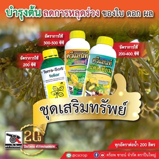 ชุดเสริมทรัพย์ บำรุงต้นบำรุงใบลดการหลุดร่วงดอกผล เทอรา ซอร์บขนาด 1 ลิตร ควีแลนท์ ไมเนอร์ 1 ลิตร ควีแลนท์ แคลเซียม 1 ลิตร