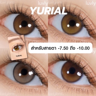 พร้อมส่ง Yurial - Idollens คอนแทคเลนส์รายปี (สายตา -7.50 ถึง -10.00)