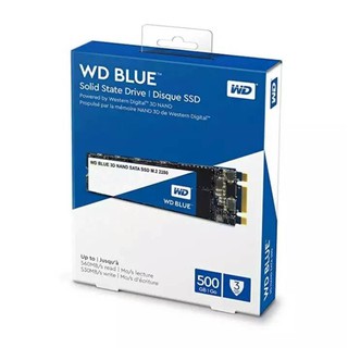 WD Blue 3D NAND 250GB PC SSD -SATA III 6 Gb/s,M.2 2280(WDS250G2B0B)(Read 560MB/s Write 525MB/s/)/Warranty5Year/BY SYNNEX