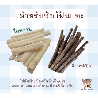 ไผ่หวาน กิ่งแอปเปิล ลับฟันสำหรับสัตว์เลี้ยงฟันแทะทุกชนิด