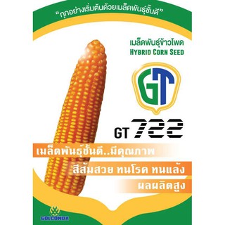 เมล็ดข้าวโพดเลี้ยงสัตว์ พันธุ์ GT 722 ขนาด5กิโลกรัม ทนแล้งได้ดี ฝักขนาดใหญ่แกนเล็กให้ผลผลิตและกำไรเพิ่มขึ้นเท่าตัว