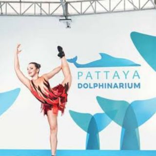 Pattaya Dolphinarium พัทยาดอลฟินดอลฟินเนเรียม โลมาโชว์