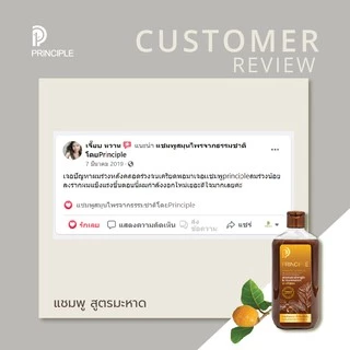 แชมพูสมุนไพร Principle พริ้นซิเพิล มะหาด โรสแมรี่ ผมงอกใหม่ แชมพูลดผมร่วง ไม่มีซิลิโคน ไม่มีพาราเบน