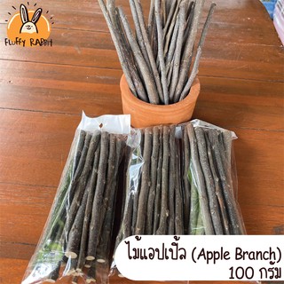 ไม้แอปเปิ้ล (Apple Branch) ขนาดบรรจุ 100 กรัม // ขนมสำหรับสัตว์ฟันแทะ