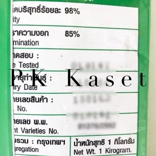 เมล็ดผักบุ้ง ไผ่สีทอง 1 kg ผักบุ้ง แพะทอง โตเร็ว ใบเรียวเล็ก แหลม-ยาว ลำต้นอวบหนา ของใหม่
