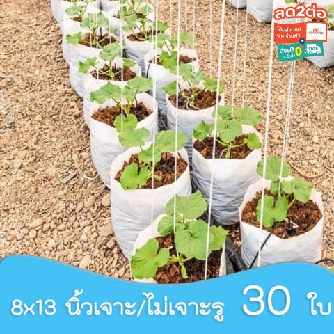 8×13 นิ้ว ถุงปลูกเมล่อน มะเขือเทศ ถุงปลูก สีขาว เกรด A เนื้อ HD  30 ใบ