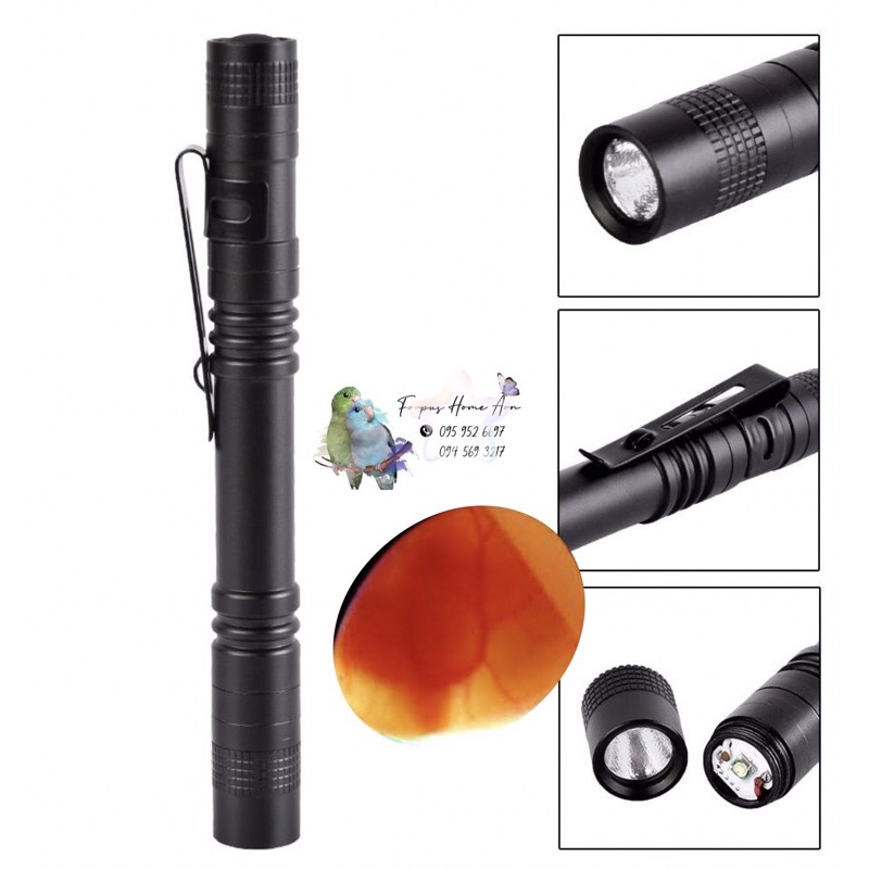ไฟฉายส่องไข่นก ดูเชื้อ Q5 LED แบบยาว สีดำ ปกติไม่มีถ่านแต่ทางร้าน ฟรี แบตเตอรี่ AAA ให้ 2 ก้อน