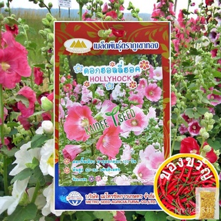 เมล็ดพันธุ์เมล็ดดอกฮอลลี่ฮอค HOLLYHOCK เมล็ดพันธุ์ดอกฮอลลี่ฮอค เมล็ดดอกไม้ เมล็ดพันธุ์ดอกไม้ ตราภูเขาทองเมล็ดพันธุ์Manil