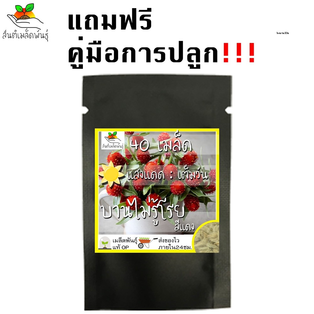 My Image 25