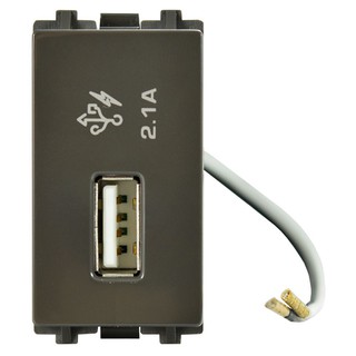 เต้ารับ 1 ช่อง SCHNEIDER 8431USB BZ 2.1A