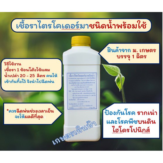 เชื้อราไตรโคเดอร์มาชนิดน้ำ ม.เกษตรกำแพงแสน (ขนาด 1 ลิตร)ป้องกันและควบคุมโรคพืช ที่เกิดจากเชื้อรา ทั้