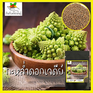 เมล็ดพันธุ์ กะหล่ำดอก เจดีย์ 100 เมล็ด Romanesco Broccoli seed เมล็ดพันธุ์แท้ นำเข้าจากต่างประเทศ ปลูกผัก สวนครัว ถูกดี