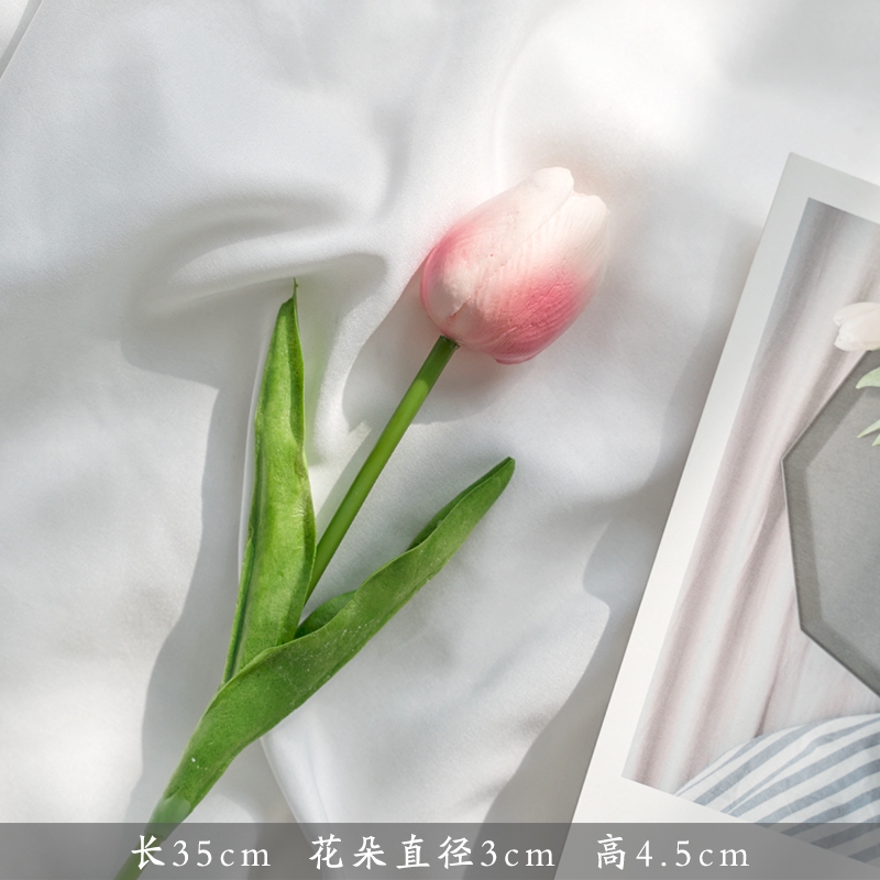 ดอกทิวลิป สำหรับพร็อพถ่ายรูป 1 ดอก - รูปที่ 7