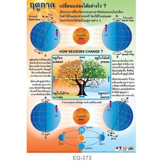 โปสเตอร์ ฤดูกาลเปลี่ยนแปลงได้อย่างไร #EQ-273 โปสเตอร์กระดาษอาร์ตมัน สื่อการเรียนการสอน สื่อการเรียนรู้