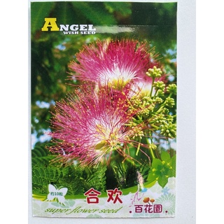 เมล็ดพันธุ์ ต้นทิ้งถ่อน (julibrissin Albizia) บรรจุ 10 เมล็ด