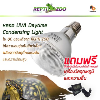 ❗อย่าลืมกดรับของแถม❗หลอดUVA Daytime CondensingLight ReptiZoo หลอดไฟให้ความร้อนให้ความอบอุ่นสัตว์เลี้ยง✨ประกันร้าน 15 วัน