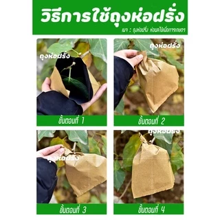 ถุงห่อฝรั่ง คาร์บอนขนาด 18*22 ซม 100 ใบ ราคา 100 บาท