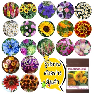 ชุดรวม เมล็ดพันธุ์ดอกไม้ นานาชนิด เมล็ดดอกไม้