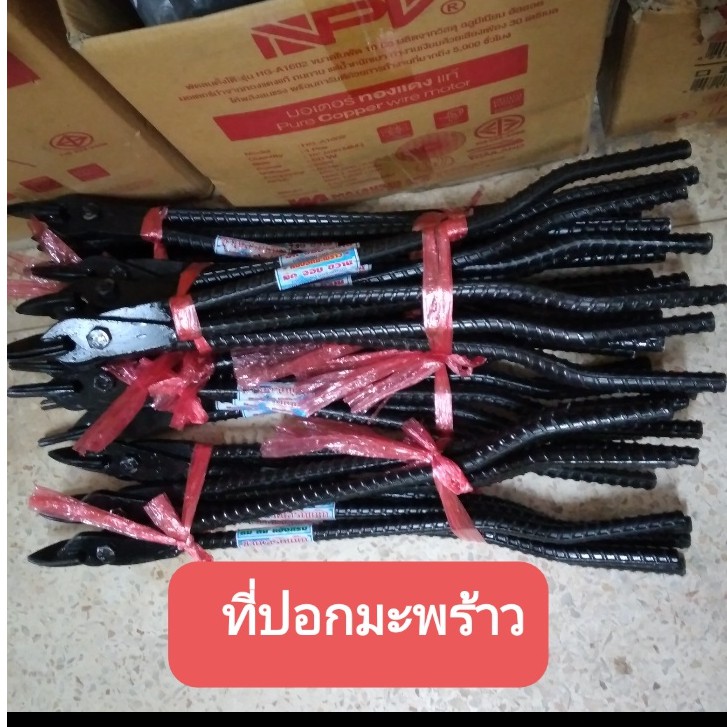 คีบปอกมะพร้าว ที่ปอกมะพร้าวเล็ก กลาง ใหญ่
