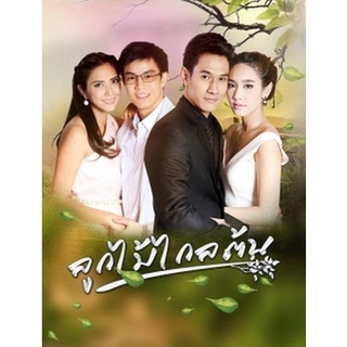 แผ่นดีวีดี (DVD) ละครไทยลูกไม้ไกลต้น (15 ตอนจบ - 4 แผ่น)