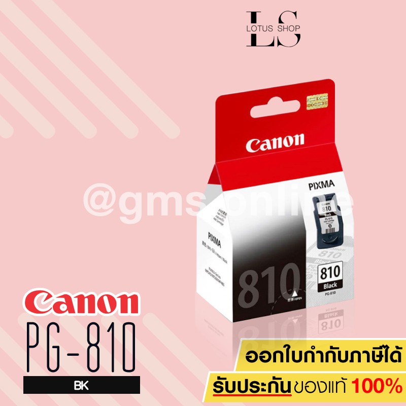 Canon Ink Cartridge PG-810 BK(Black)