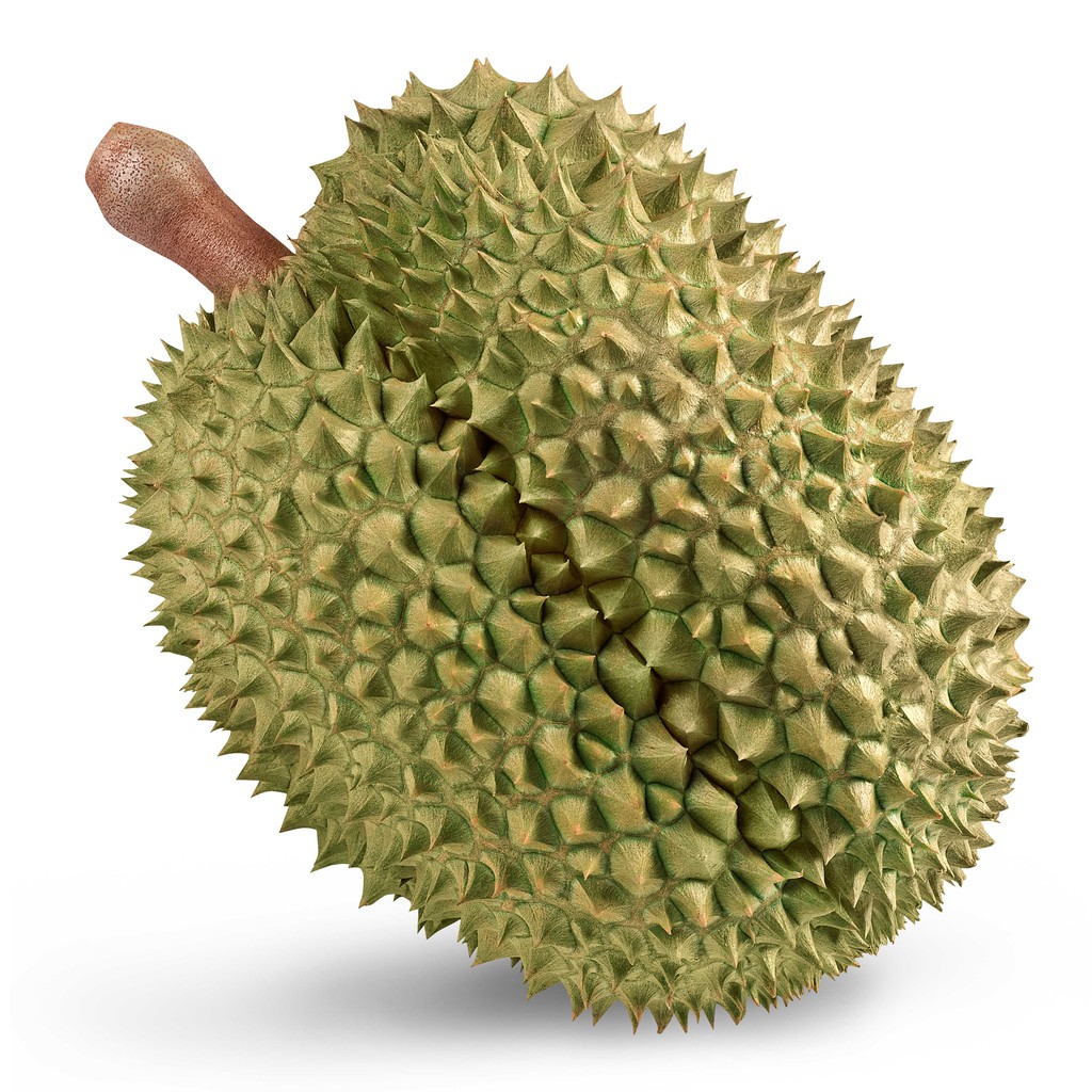 เจฟรุ้ต (Jfruit)  ทุเรียนหมอนทอง เกรด A ราคาส่ง 1,800 กิโลกรัม ส่งฟรีจากสวนเอมไทย