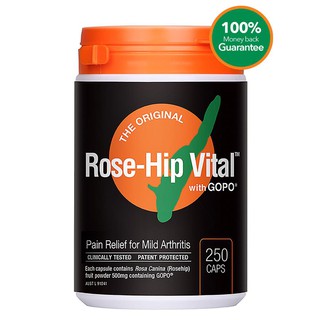 Rose-Hip Vital 250 Capsules