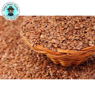 (มี อย.)Brown FlaxSeed เมล็ดแฟลกซ์สีน้ำตาล อบเม็ด 100 กรัม (แพ็คสูญญากาศซิปล็อค)